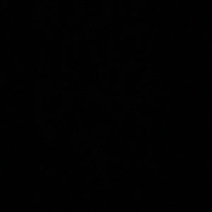 Meet your Posher, Jessie